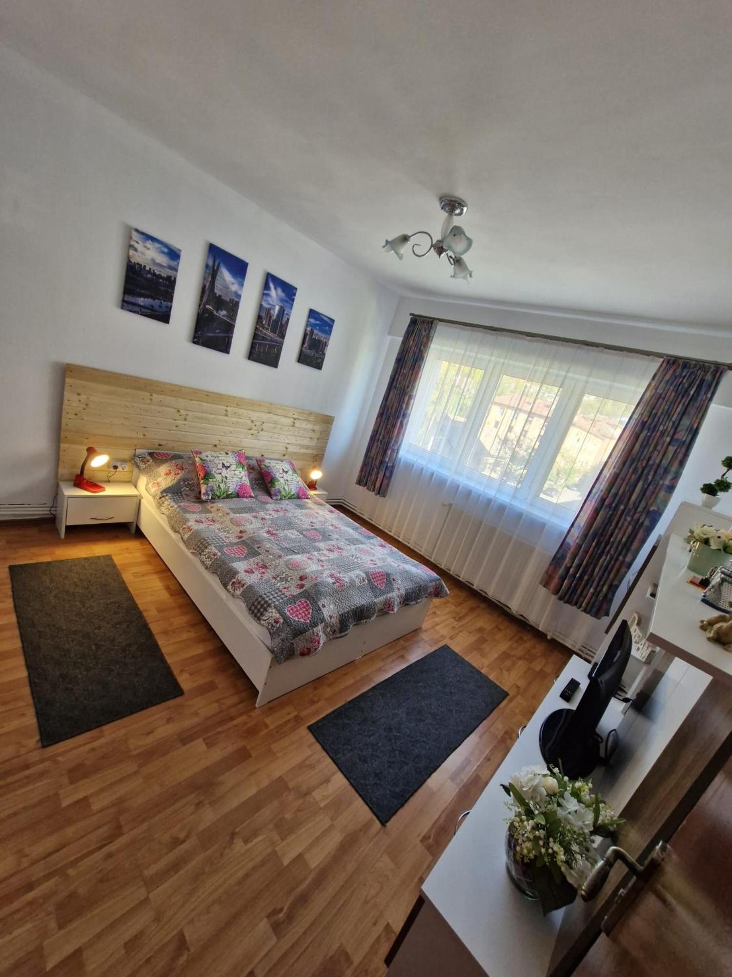 Bubu Apartament Petroşani Exterior foto